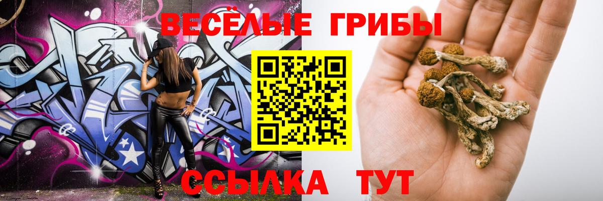 Галлюциногенные грибы прущие грибы  купить закладку  Краснокамск  Вход с VPN  Галлюциногенные грибы прущие грибы 